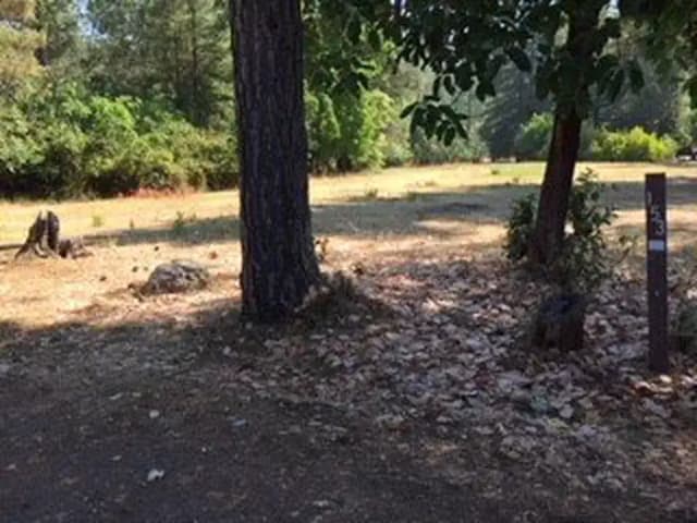 Site B153 at Bushay Recreation Area