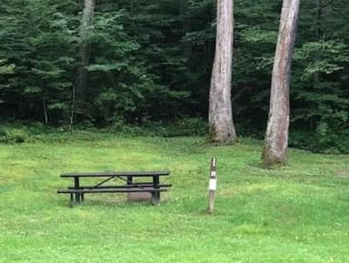 Site 223 at Outflow Recreation Area (PA)