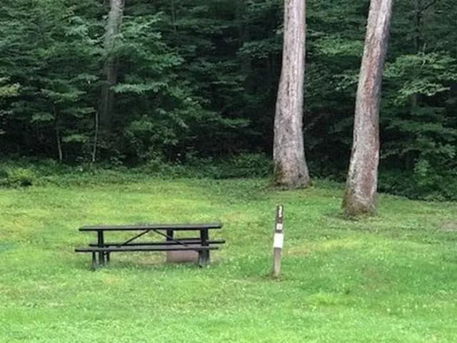 Site 223 at Outflow Recreation Area (PA)
