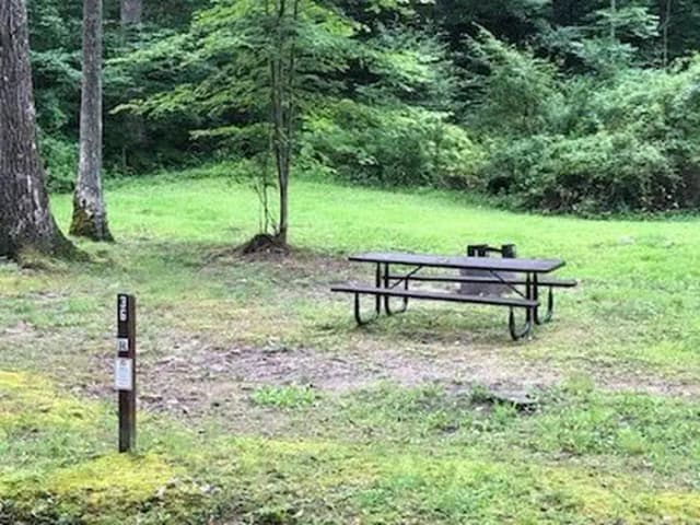 Site 224 at Outflow Recreation Area (PA)