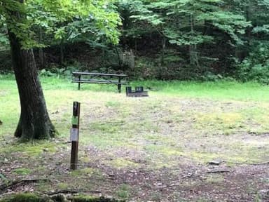 Site 225 at Outflow Recreation Area (PA)
