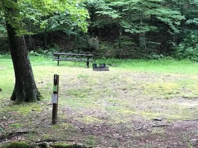 Site 225 at Outflow Recreation Area (PA)