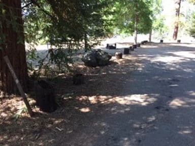 Site B161 at Bushay Recreation Area