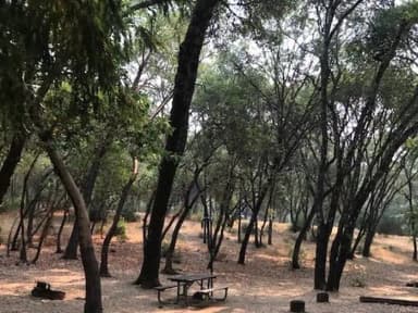 An image the agency filed against 20 campsites at Bushay Recreation Area