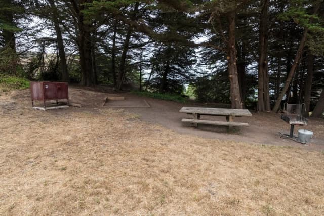 A food storage bin, a picnic bench, a tent platform and a standing BBQ with ash disposal bin sit.