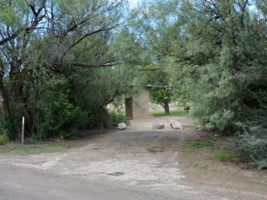 View of the driveway leading into site 20 from the main road. The driveway is surrounded by trees, some with low-hanging branches. There is a shade shelter at the end of the driveway, just behind some trees in the distance.
