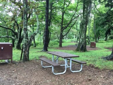 Walk to site 9; Short walk to campsite