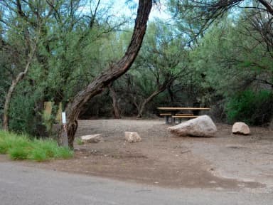 View of the main site area and edge of the driveway leading into the site. The site is surrounded by trees and bushes. There is a large, clear space next to a picnic table, where tents and shelters could be setup.