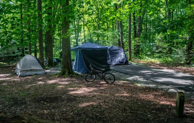 Site 98, Laurel Loop at Davidson River. Shaded site.