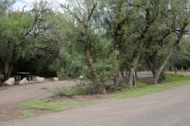 View of the main roadway and curved driveway leading into the campsite. A picnic table is seen in the distance on the border of the driveway.