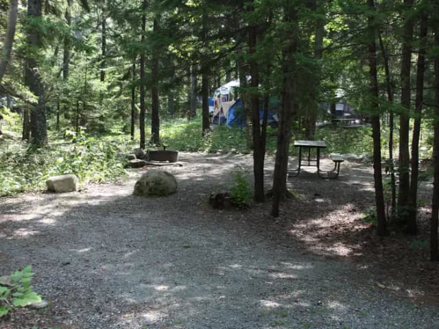 Loop A · Site A001 (Admin) at Blackwoods Campground