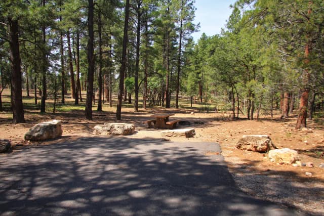 Picnic table, fire pit, and parking spot, Mather Campground