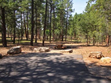 Picnic table, fire pit, and parking spot, Mather Campground