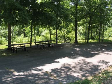 Double campsite 34 showing double parking spur, picnic tables,lantern post and fire ring