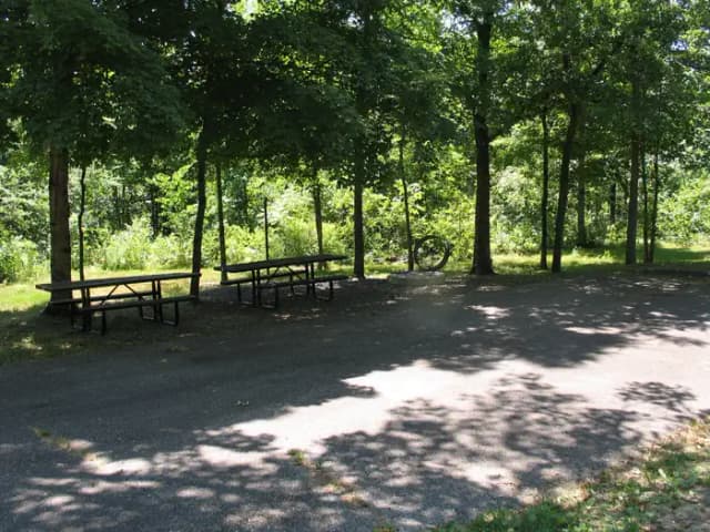 Double campsite 34 showing double parking spur, picnic tables,lantern post and fire ring