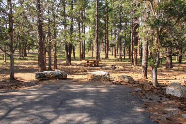 Picnic table, fire pit, and parking spot, Mather Campground