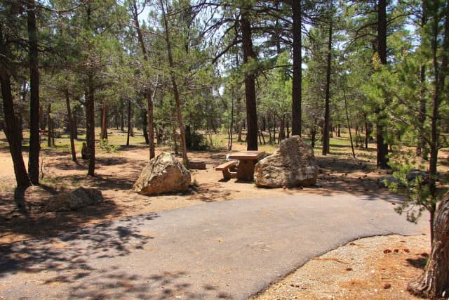 Picnic table, fire pit, and parking spot, Mather Campground