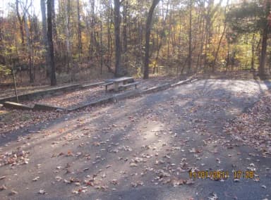 Loop HCRE · Site 40 at Hurricane Creek