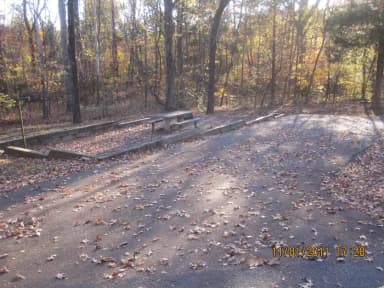 Site 40, Hurricane Creek
