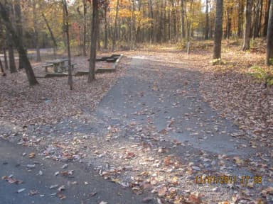 Loop HCRE · Site 41 at Hurricane Creek