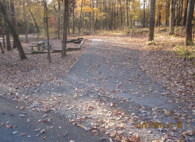 Loop HCRE · Site 41 at Hurricane Creek