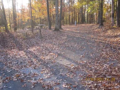 Loop HCRE · Site 43 at Hurricane Creek