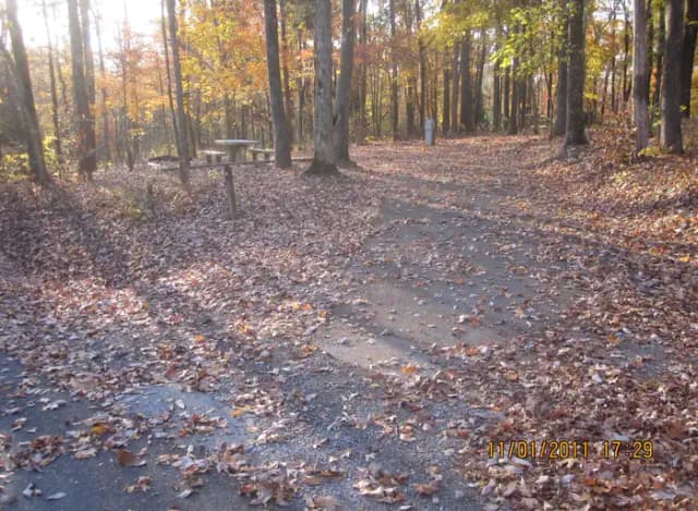 Loop HCRE · Site 43 at Hurricane Creek