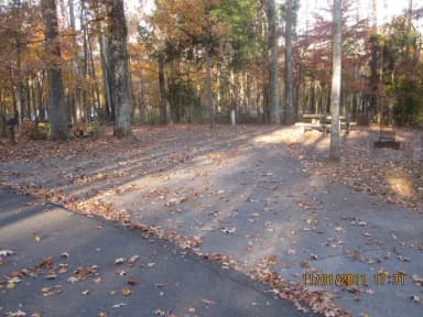 Site 46, Hurricane Creek