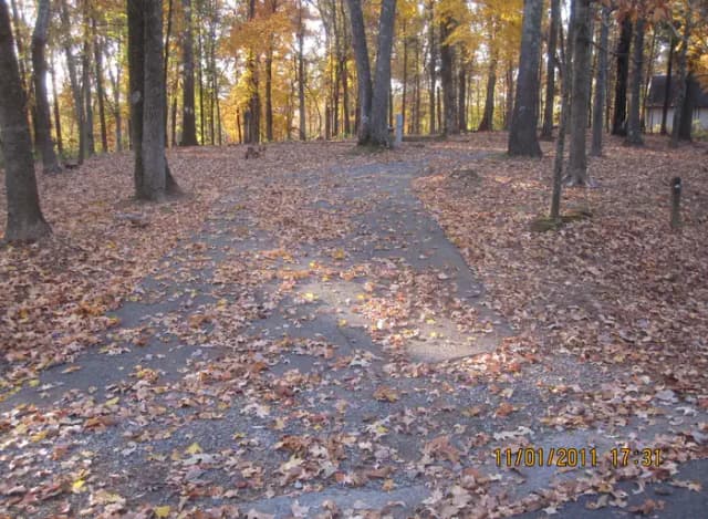 A photo of Site 45 of Loop HCRE at HURRICANE CREEK with Picnic Table, Fire Pit