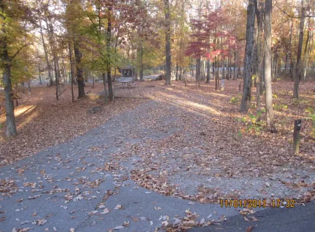 Loop HCRE · Site 48 at Hurricane Creek