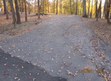 Loop HCRE · Site 50 at Hurricane Creek