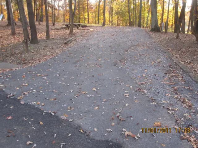 Loop HCRE · Site 50 at Hurricane Creek