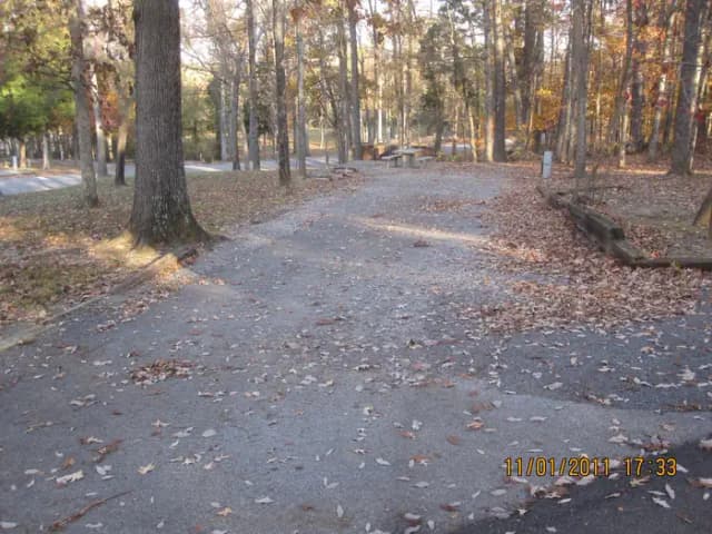 Loop HCRE · Site 51 at Hurricane Creek