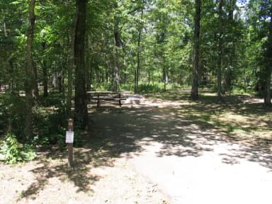 Campsite 48 showing parking spur, picnic table, lantern post and fire ring