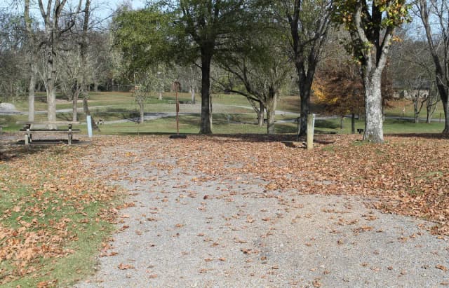Site 41 Defeated Creek Campground