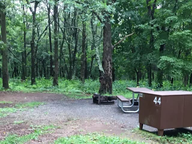 Tent only site 44 has a food storage bin for your convenience.  Food/coolers must be stored in this bin when you are not there to prevent bears and other wildlife from getting into your belongings.
