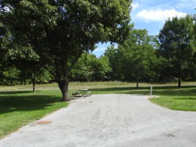 Site 115 in Outlet Campground