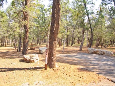 Picnic table and parking spot, Mather Campground