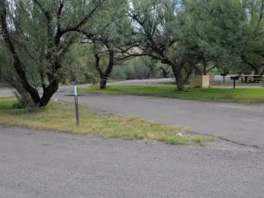 View of the pull-through driveway for site 43. The pull-through driveway is large and can accommodate most RVs and vehicles. There is a grassy area next to the driveway with a bear box, metal grill, and picnic table, and plenty of space to pitch a tent or shelter.
