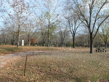 Site 46 Defeated Creek Campground