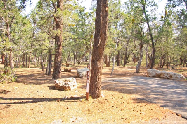 Picnic table and parking spot, Mather Campground