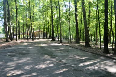 Gillham Lake Cossatot Reefs Park Campsite # 08