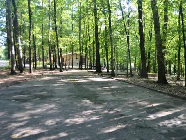 Gillham Lake Cossatot Reefs Park Campsite # 08