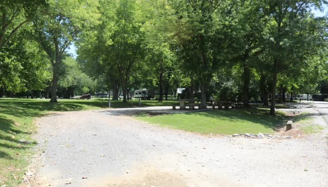 Site 51 Defeated Creek Campground