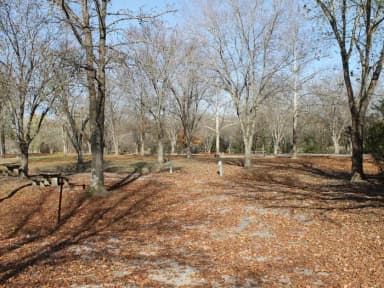Site 52 Defeated Creek Campground