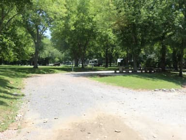 Site 52 Defeated Creek Campground