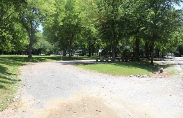Site 52 Defeated Creek Campground