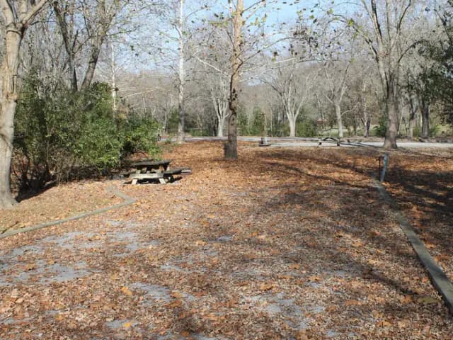 Site 56 Defeated Creek Campground