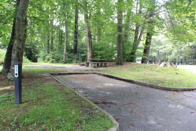 B Loop Site 55 - Tent Nonelectric