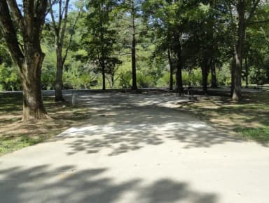 DALE HOLLOW DAMSITE #33 WITH SHADE